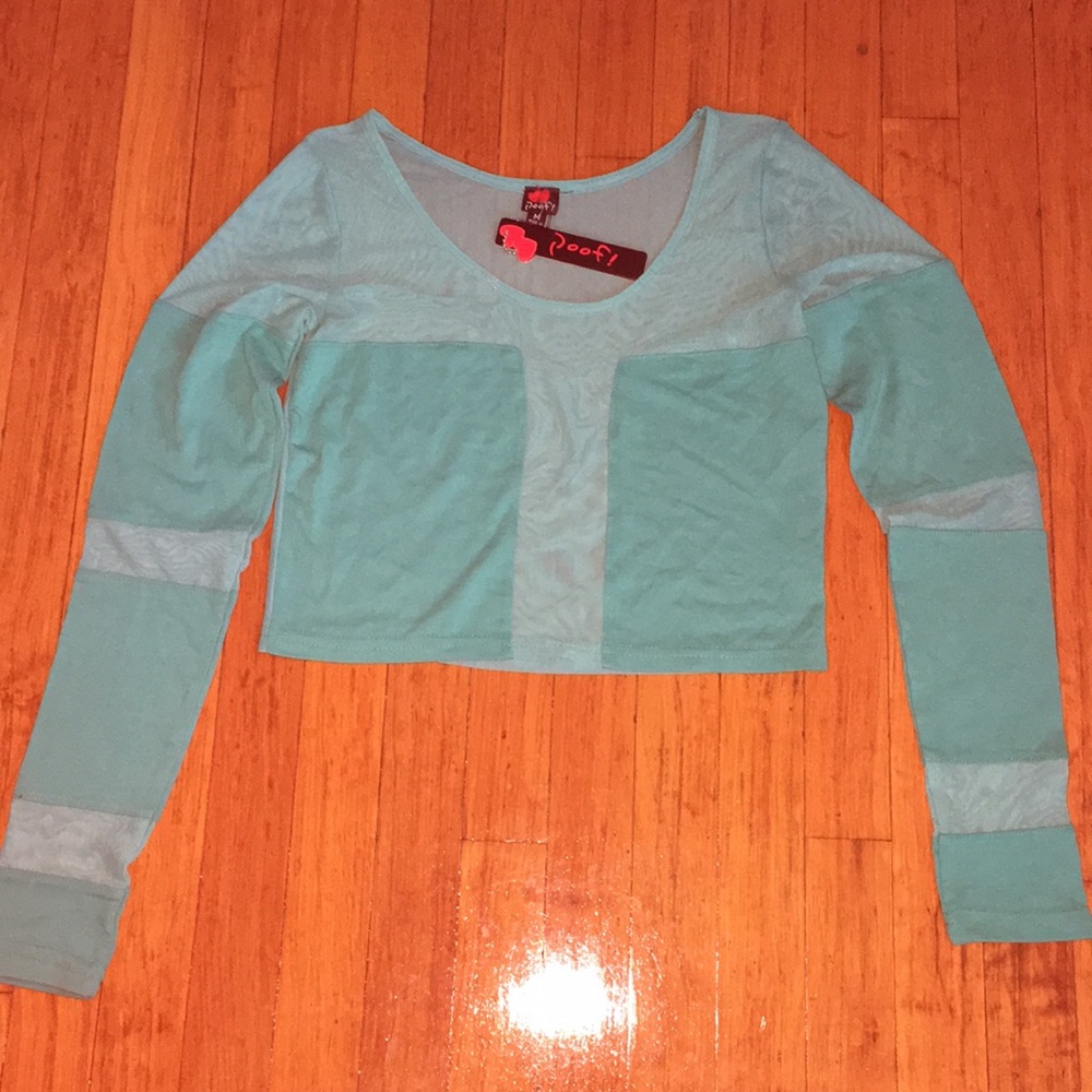 Mesh long sleeve crop top